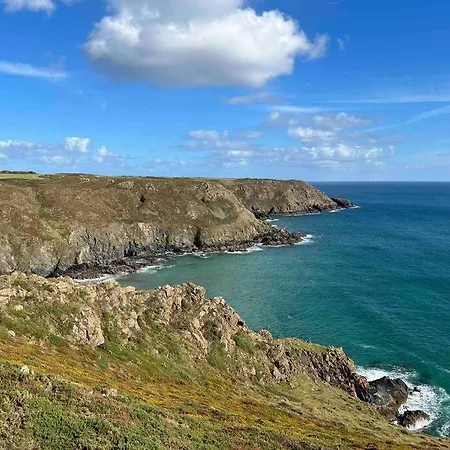 Chough Helston